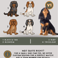 King Charles Spaniels - Build-Your-Own