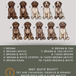 Lagotto Romagnolos - Build-Your-Own