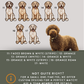Lagotto Romagnolos - Build-Your-Own
