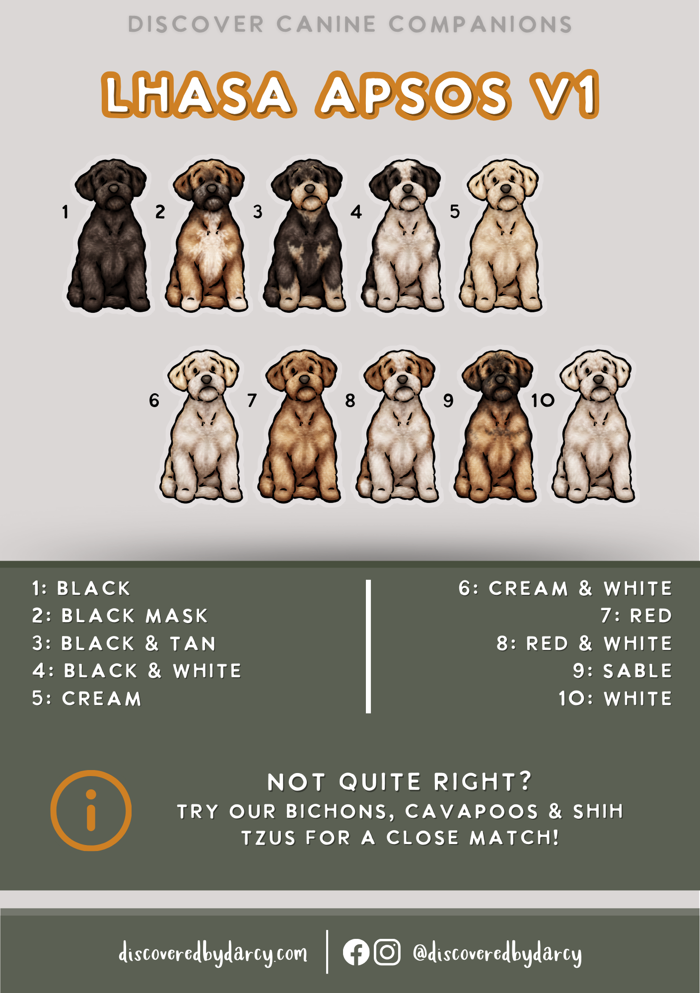 Lhasa Apsos - Build-Your-Own