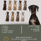 Lurchers - Build-Your-Own