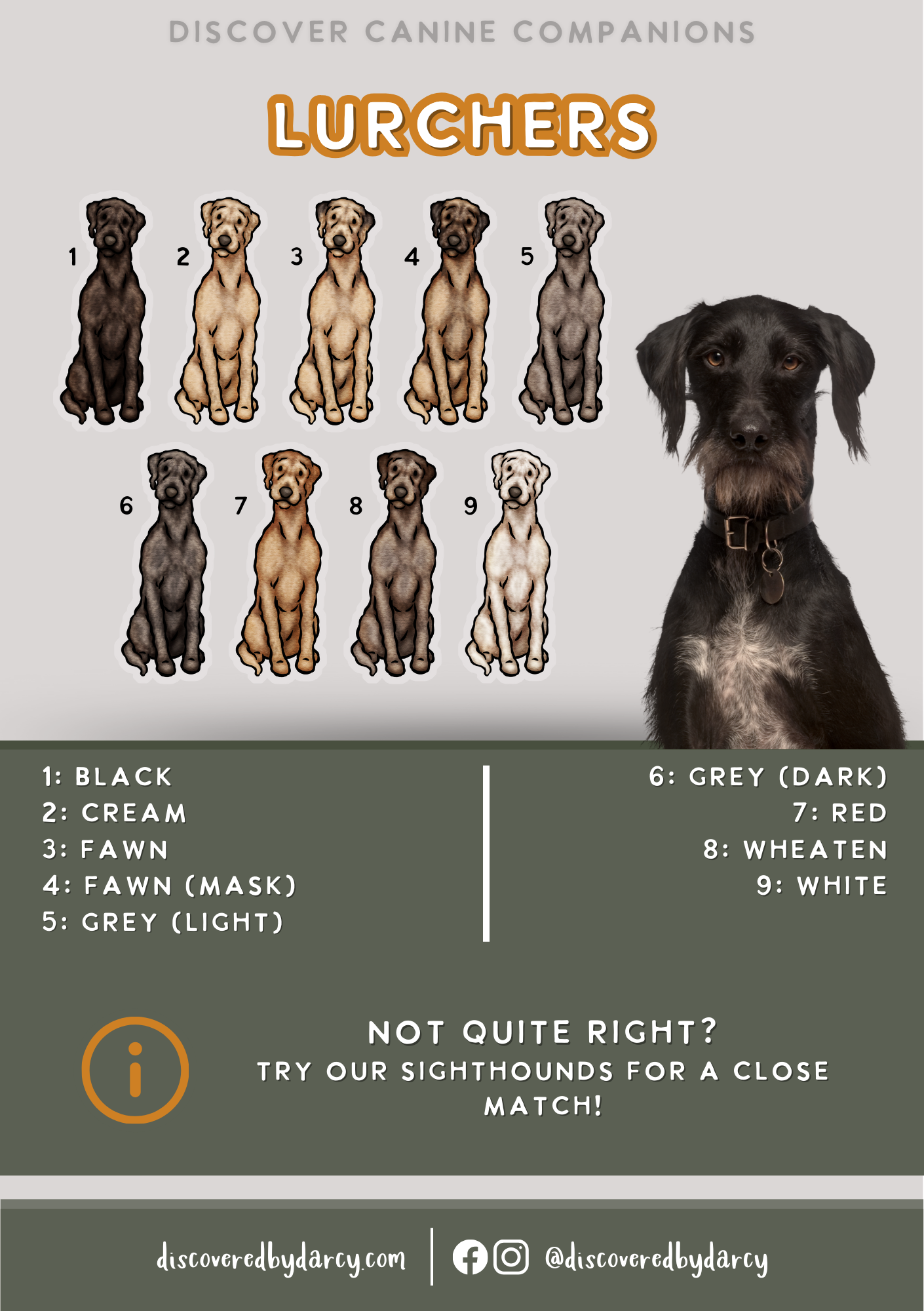 Lurchers - Build-Your-Own