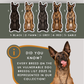Malinois - Build-Your-Own