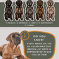 Neopolitan Mastiffs - Build-Your-Own