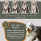 Old English Sheepdog - Build-Your-Own