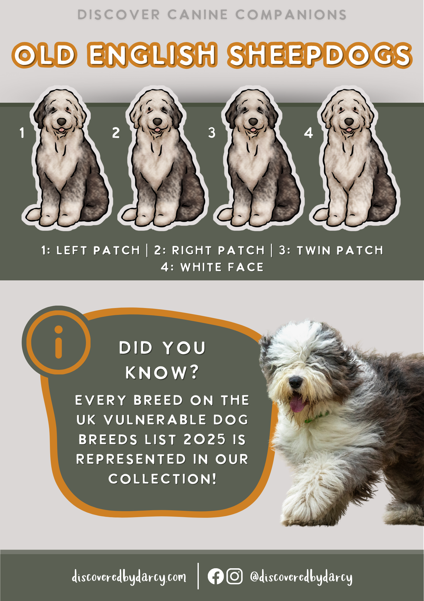 Old English Sheepdog - Build-Your-Own