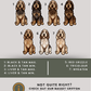 Otterhounds - Build-Your-Own