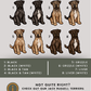 Patterdale Terriers - Build-Your-Own