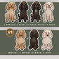Miniature Poodles - Build-Your-Own