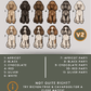 Miniature Poodles - Build-Your-Own