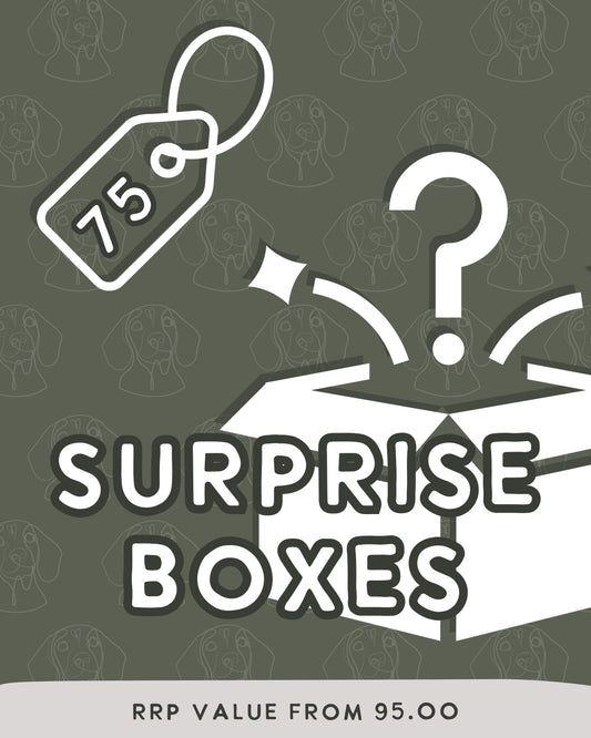 £75 Surprise Box