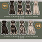 Schnauzers - Build-Your-Own