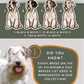 Sealyham Terriers - Build-Your-Own