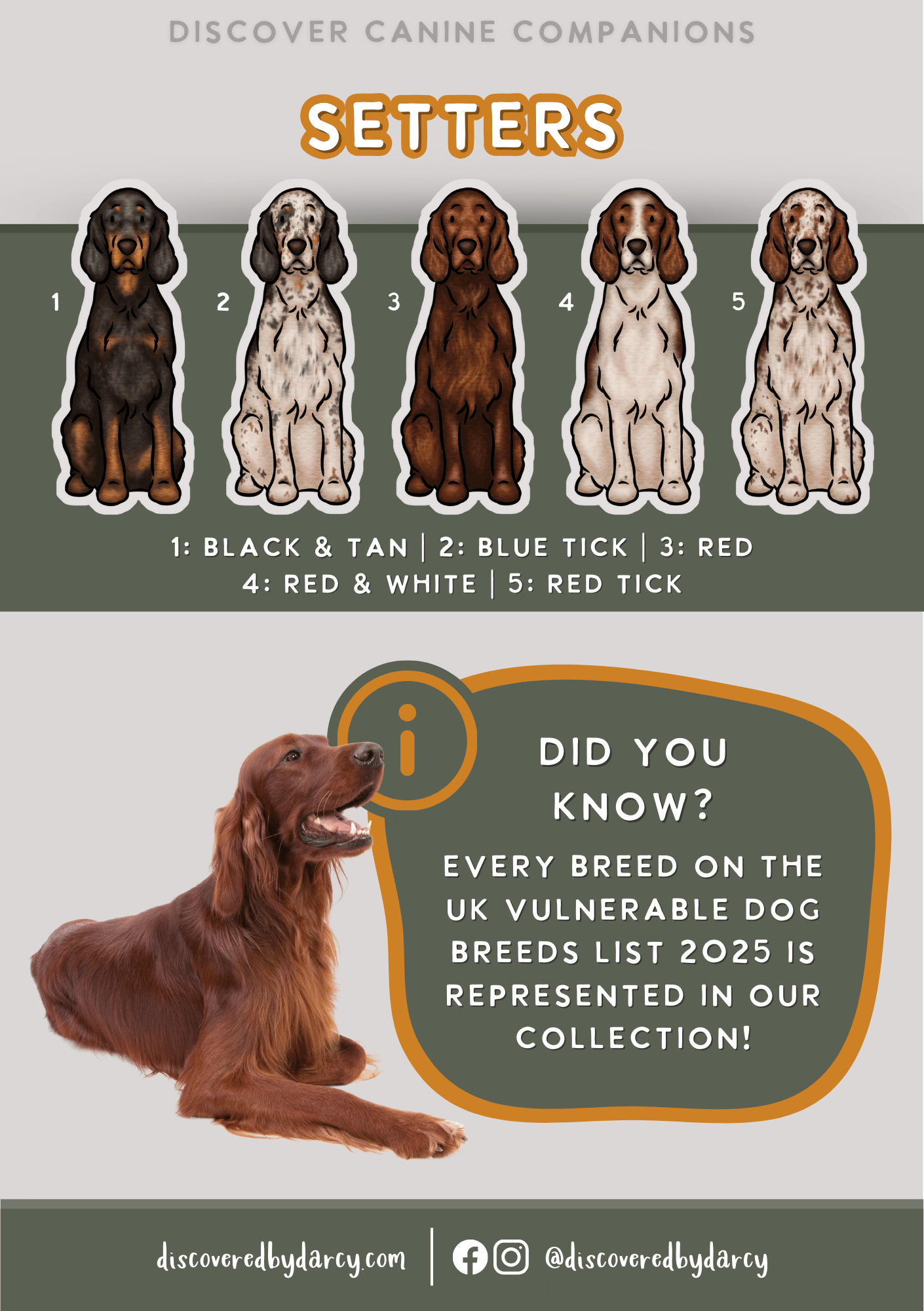 Setters - Build-Your-Own