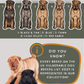 Shar Peis - Build-Your-Own