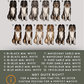 Shetland Sheepdogs - Build-Your-Own
