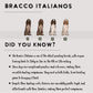 Bracco Italianos - Build-Your-Own