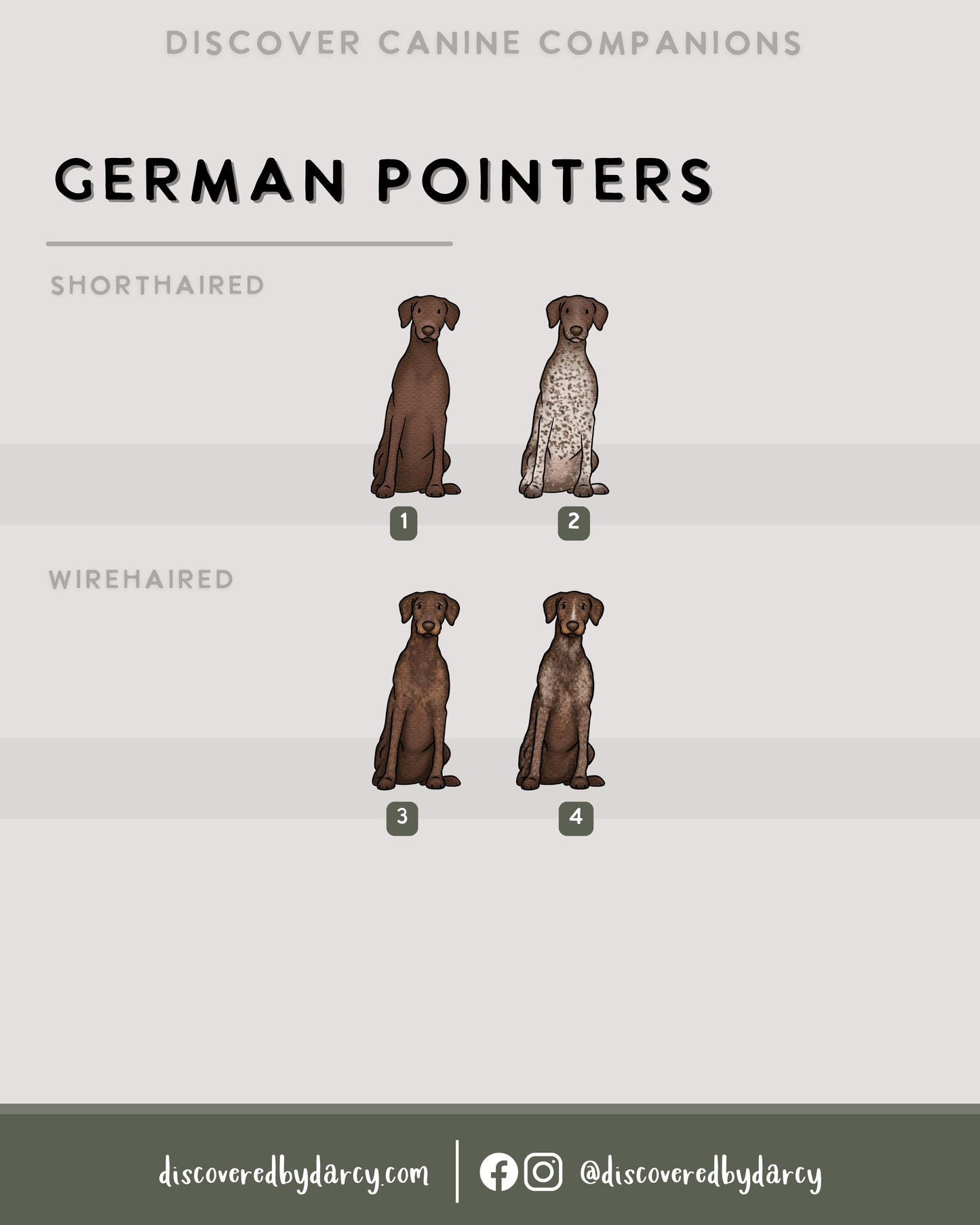 German Pointers - Build-Your-Own