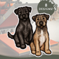 Patterdale Terriers - Build-Your-Own