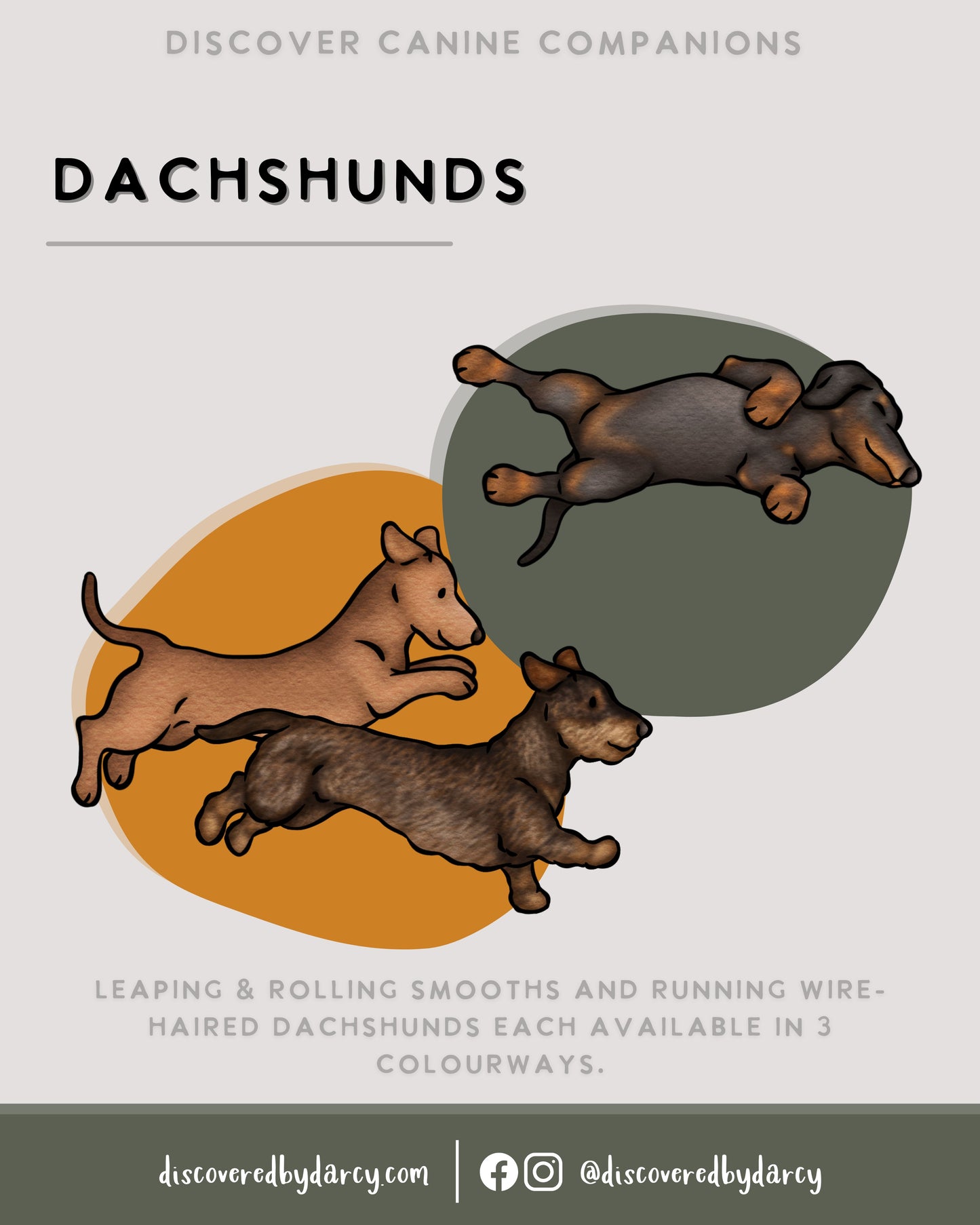 Dachshunds - Build-Your-Own