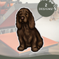 Sussex Spaniels - Build-Your-Own