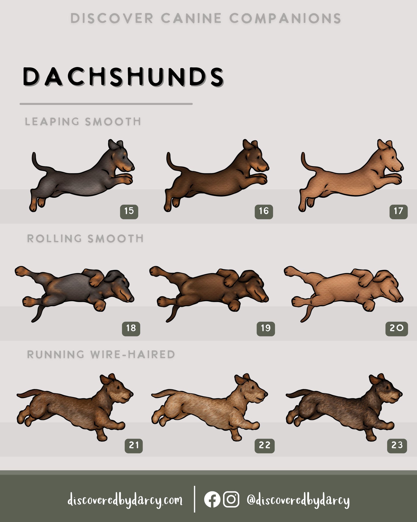 Dachshunds - Build-Your-Own