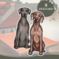 Weimaraners - Build-Your-Own