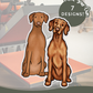 Vizslas - Build-Your-Own