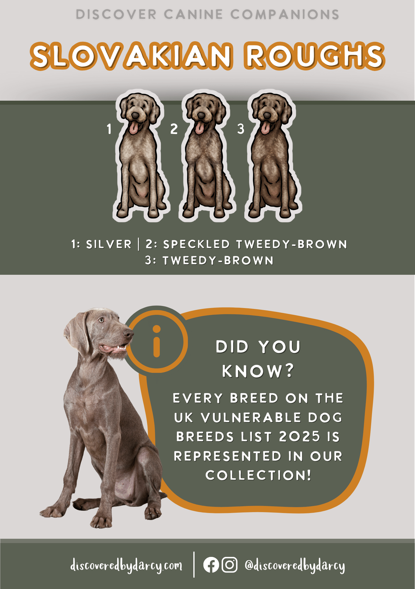 Slovakian Rough Pointers - Build-Your-Own