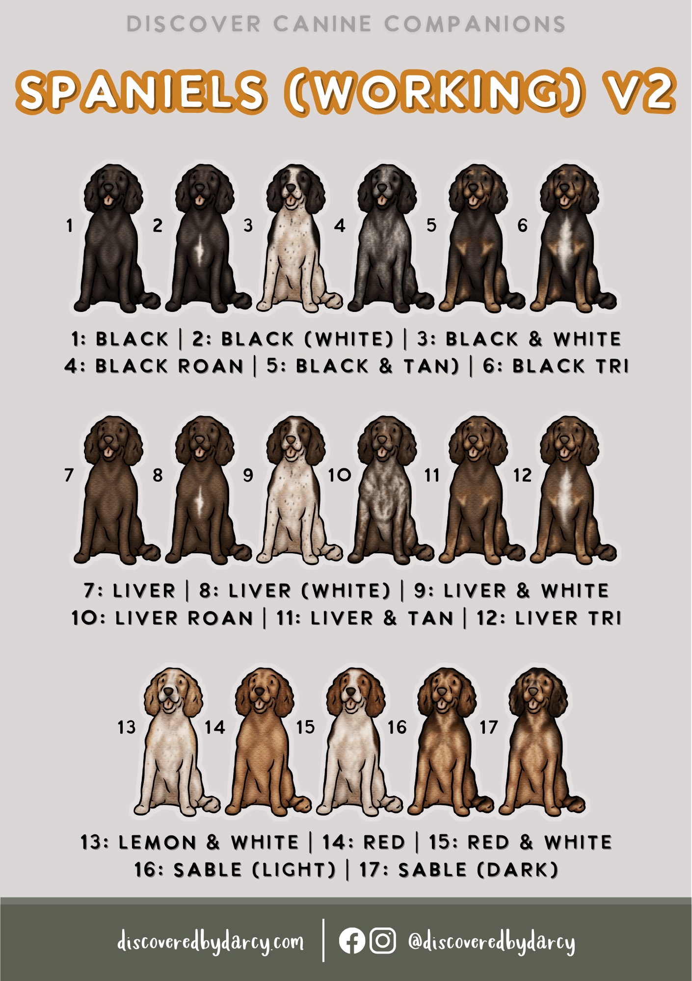 Spaniels - Build-Your-Own