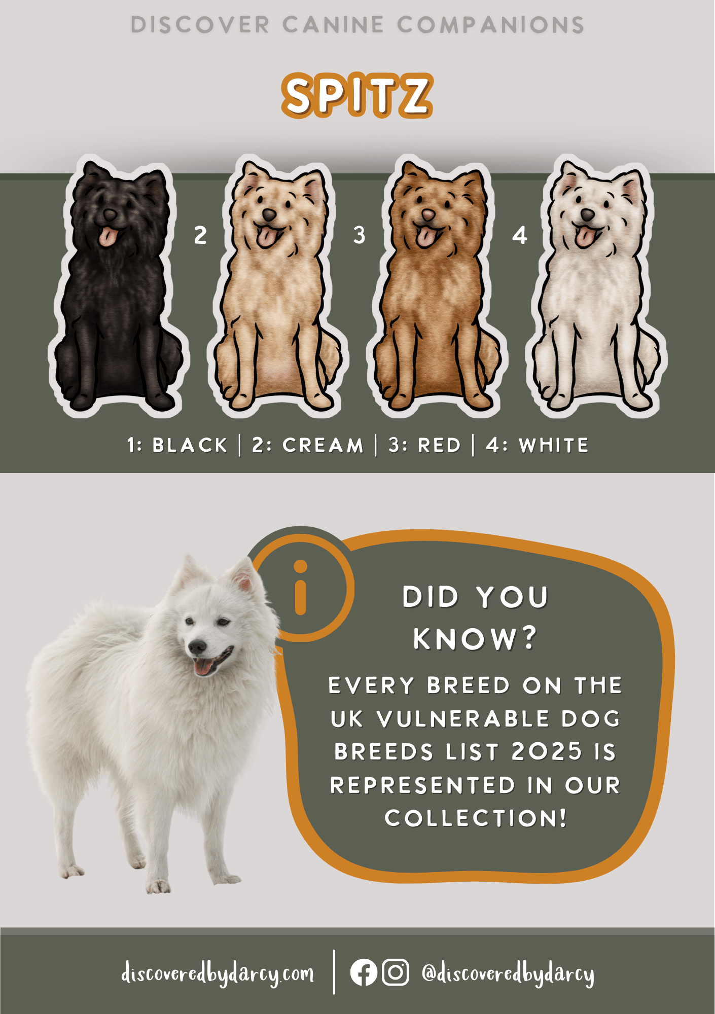 Spitz - Build-Your-Own