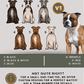 Staffordshire Bull Terriers - Build-Your-Own