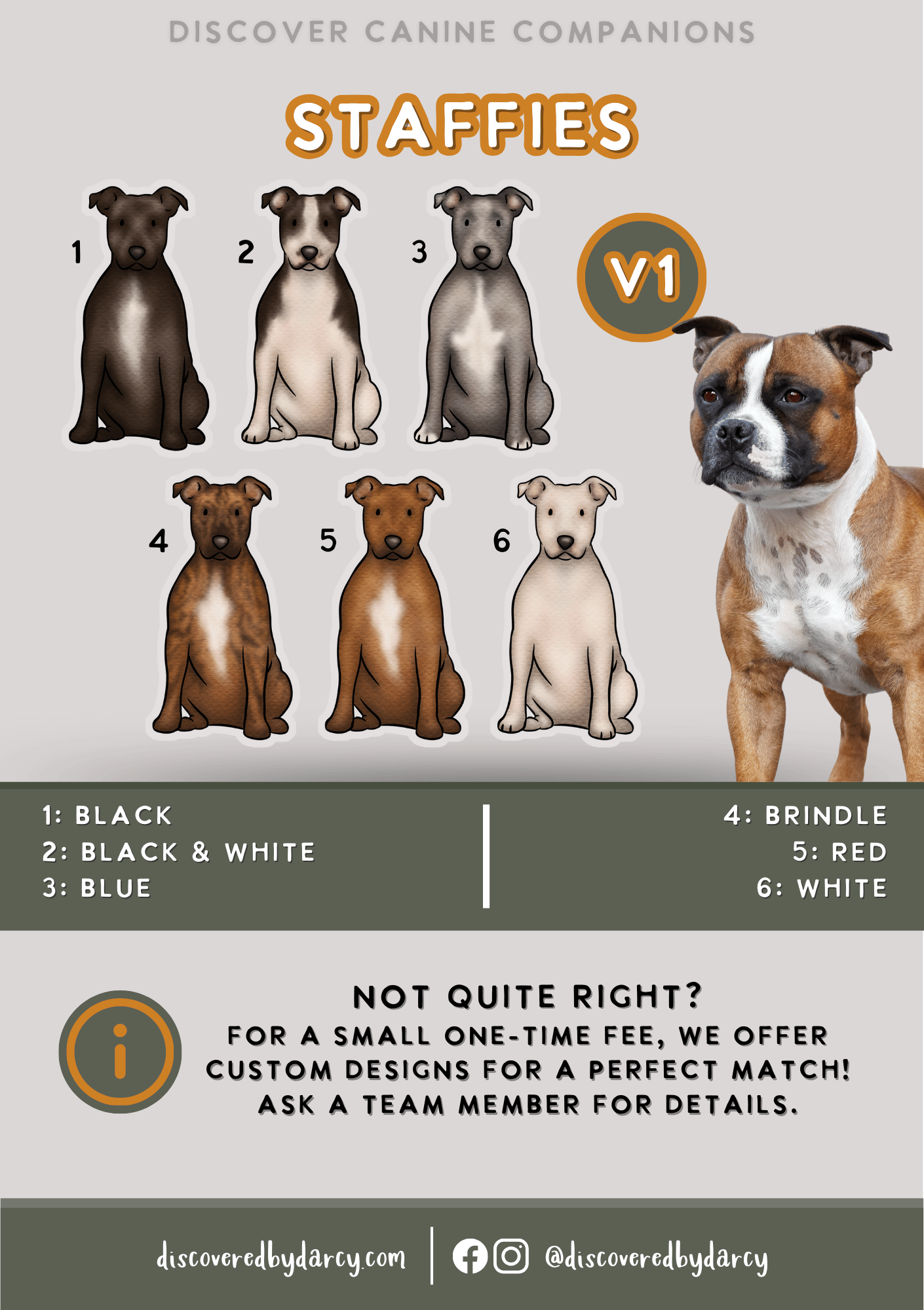 Staffordshire Bull Terriers - Build-Your-Own