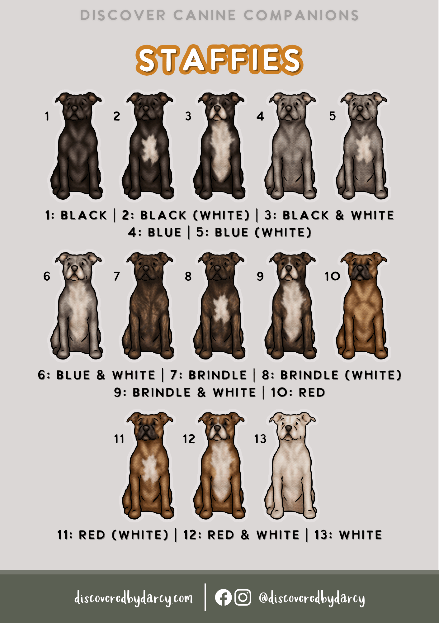Staffordshire Bull Terriers - Build-Your-Own