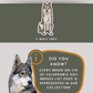Tamaskan Wolfdogs - Build-Your-Own