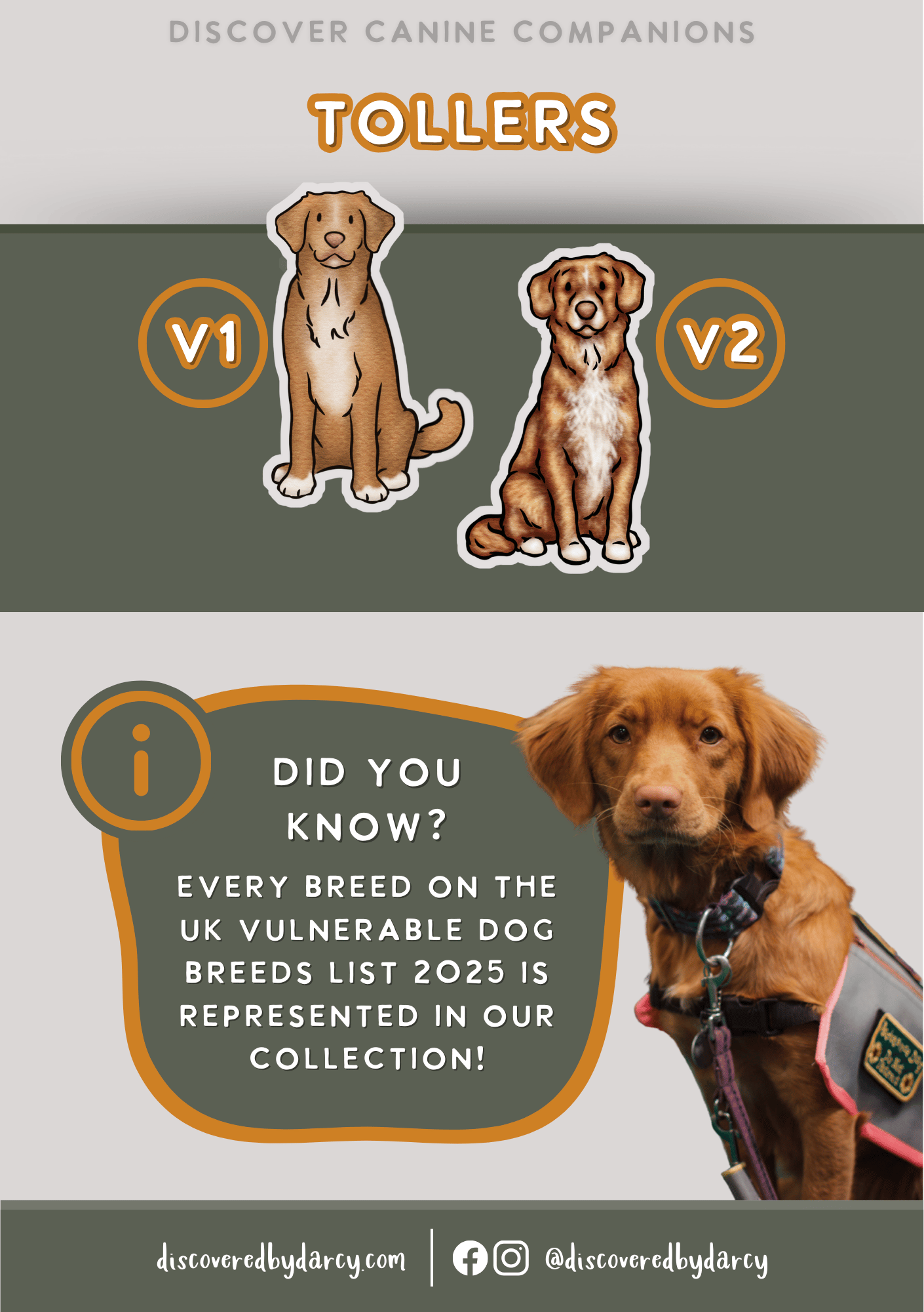 Tollers - Build-Your-Own