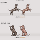 Weimaraners - Build-Your-Own