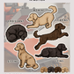 Doodles - Build-Your-Own
