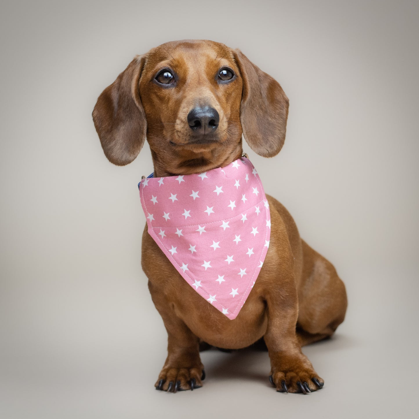 Under The Stars – Pink - Handmade Dog Bandana