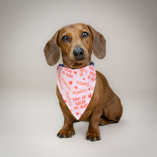 Don't Go Bacon My Heart - Pink - Handmade Dog Bandana