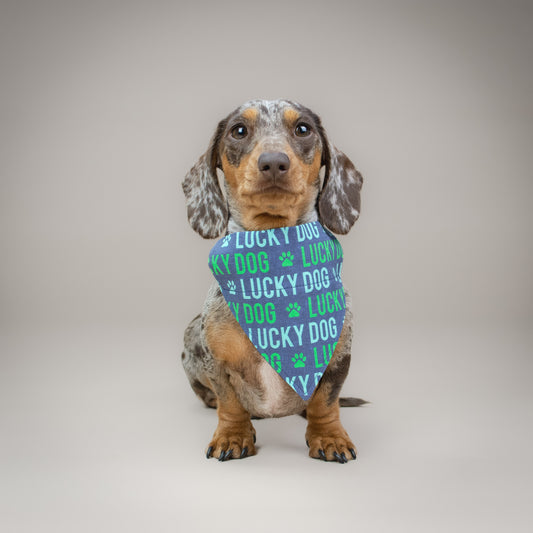 Lucky Dog - Handmade Dog Bandana