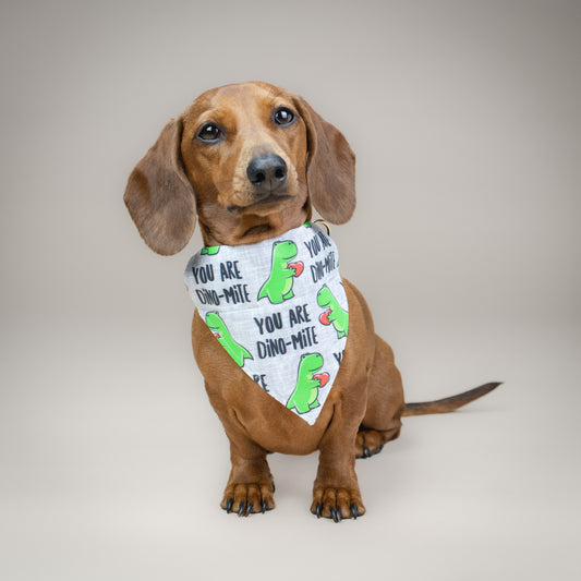 You Are Dino-Mite - Handmade Dog Bandana