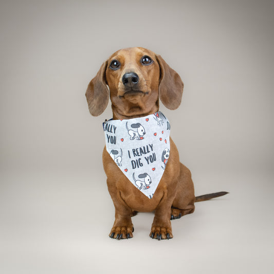 I Really Dig You - Handmade Dog Bandana