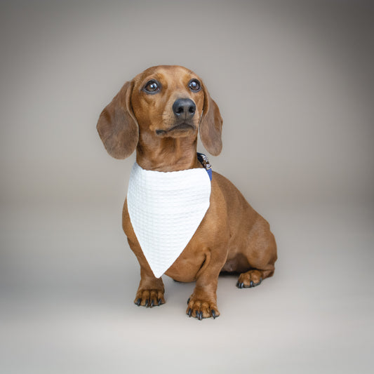 Waffle-y Cute - White - Handmade Dog Bandana