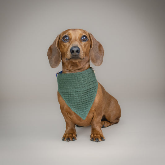 Waffle-y Cute - Green - Handmade Dog Bandana