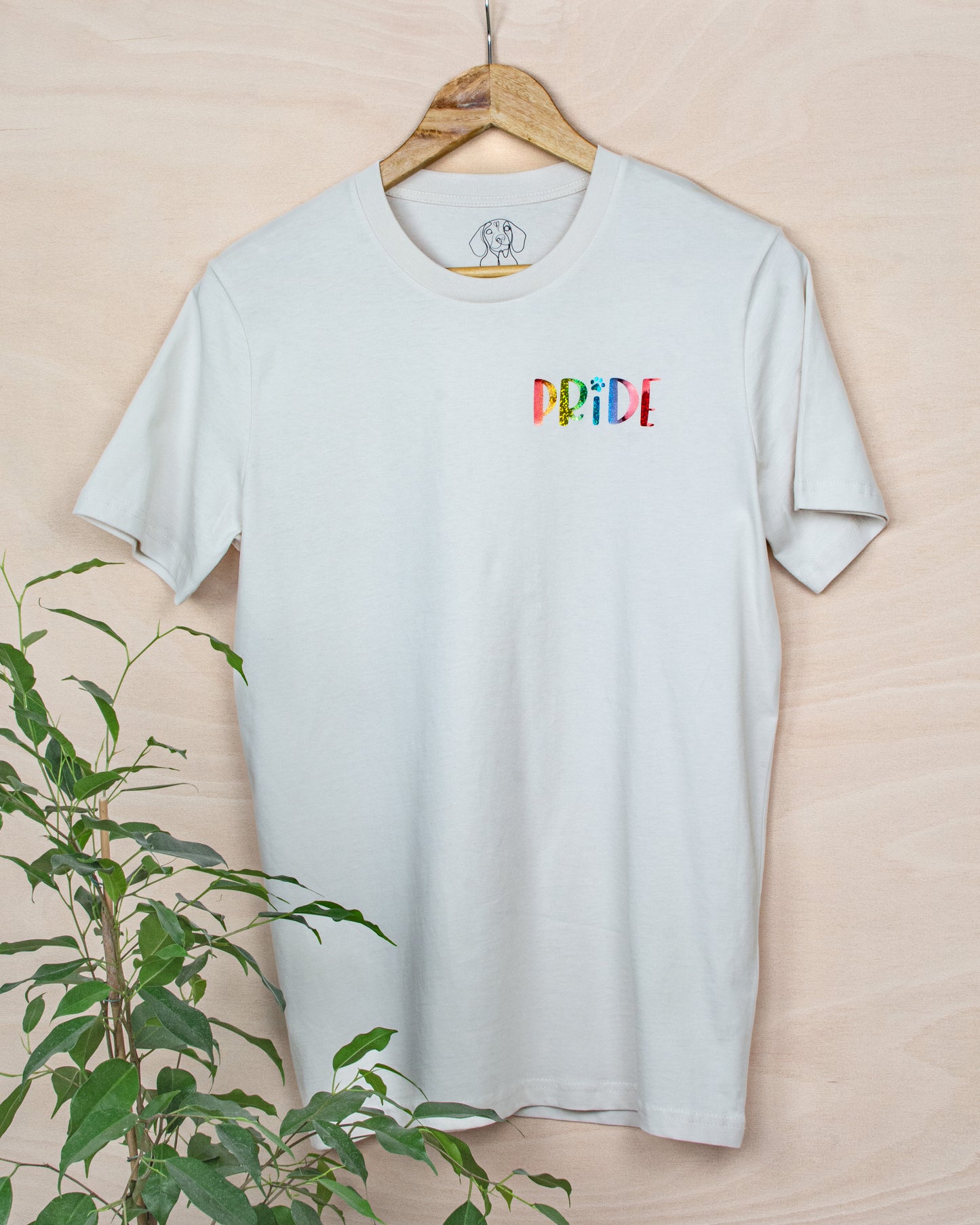 LGBTQ+ Pride Tee Shirts